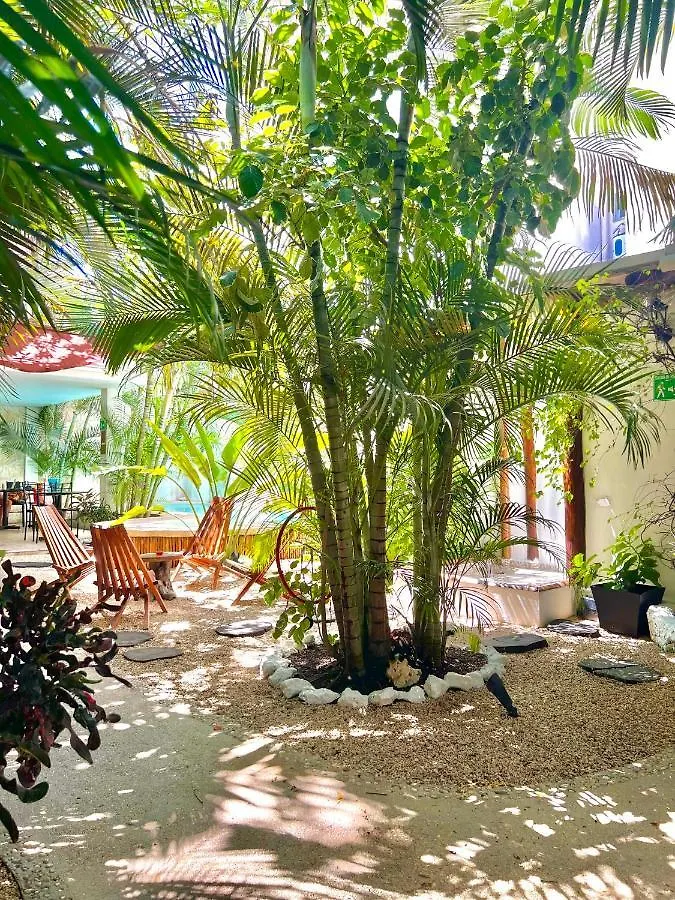 Pacha Tulum Boutique Hotel Mexiko