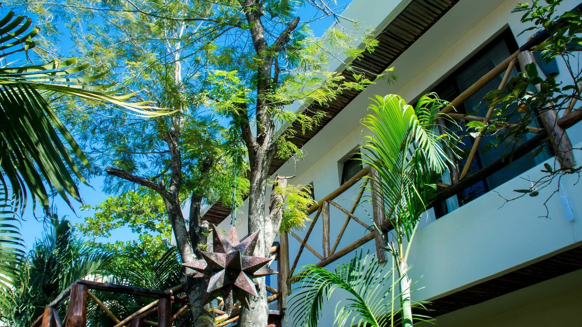 ****  Pacha Tulum Hotel Mexico