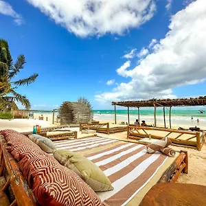 **** Hotel Alito Mexiko