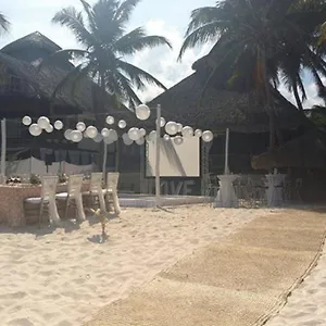 https://akiin-beach-tulum.allrivieramayahotels.com